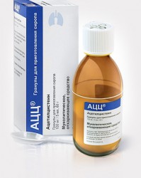 АЦЦ гран. д/приг. сиропа 100 мг/5 мл 60 г 1 шт.