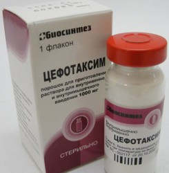 Цефотаксим пор. д/р-ра для в/в и в/м введ. 1 г 1 шт.